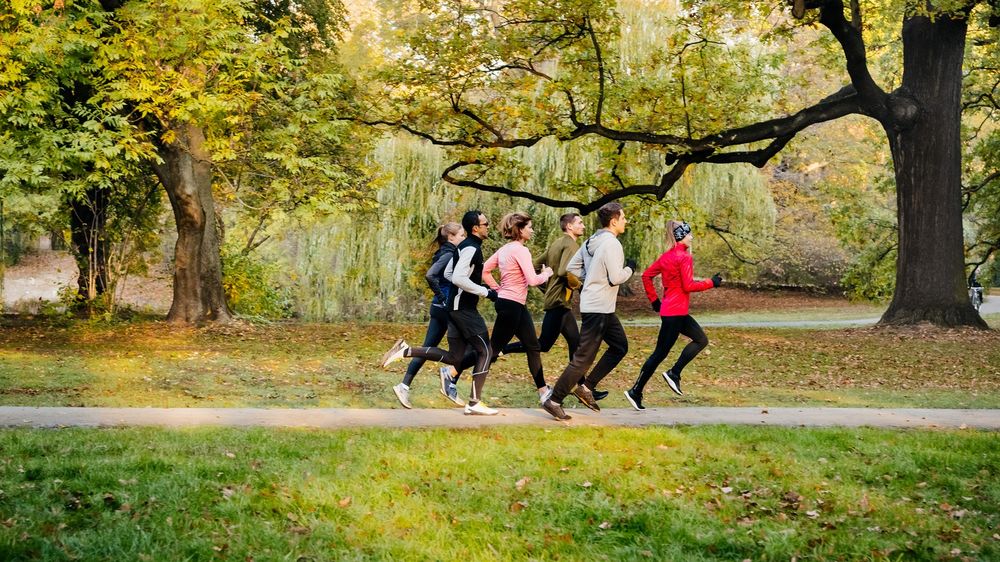 Longevity: gesund altern - Health is wealth Long evity: Läufergruppe im Park