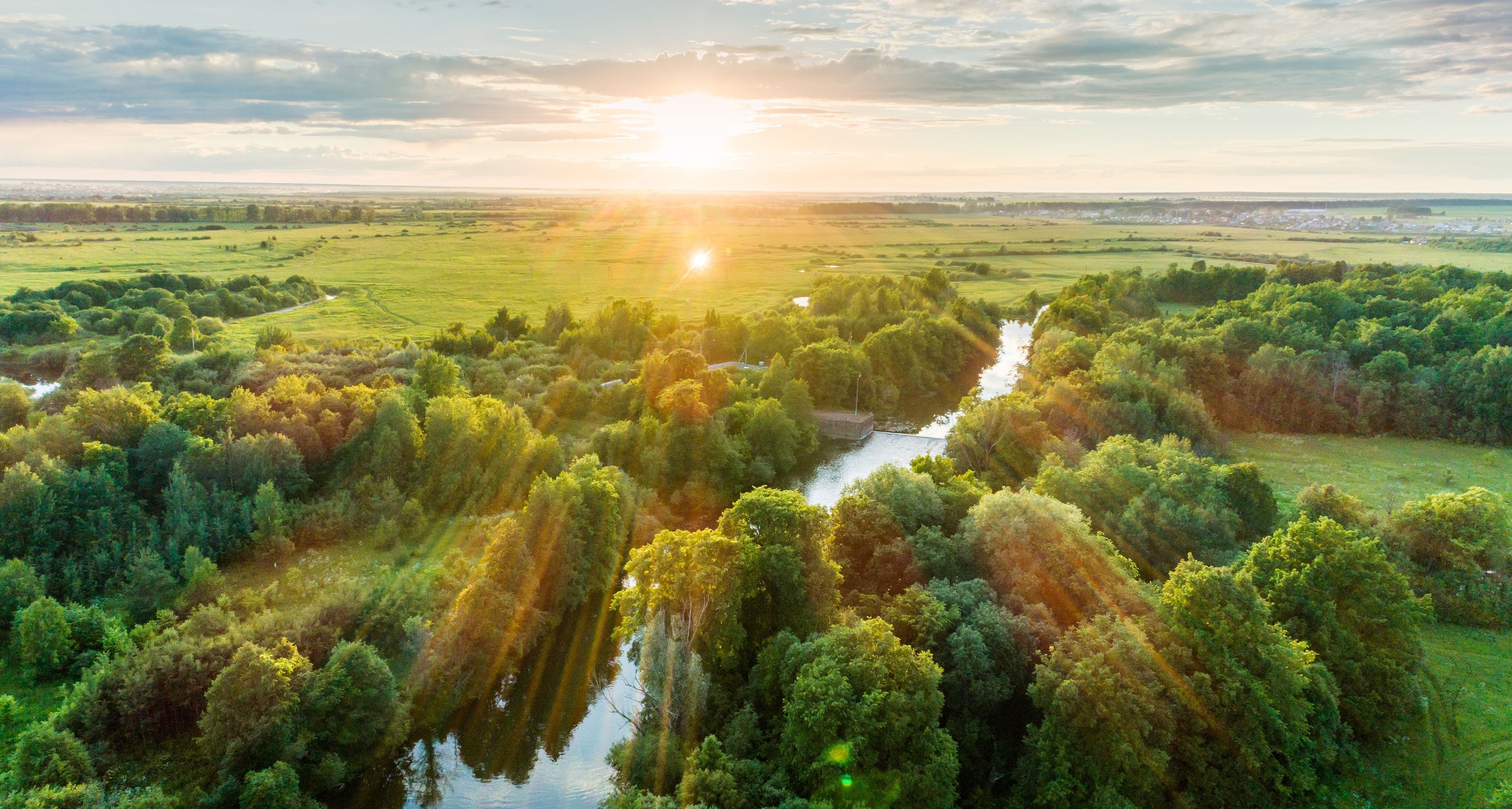 Investmenttrend: Nachhaltig und verantwortungsvoll investieren
