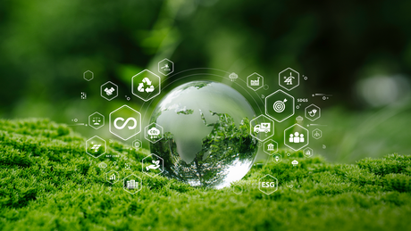 A transparent globe on mossy ground with sustainability icons around it, symbolizing eco-friendly practices and environmental protection.