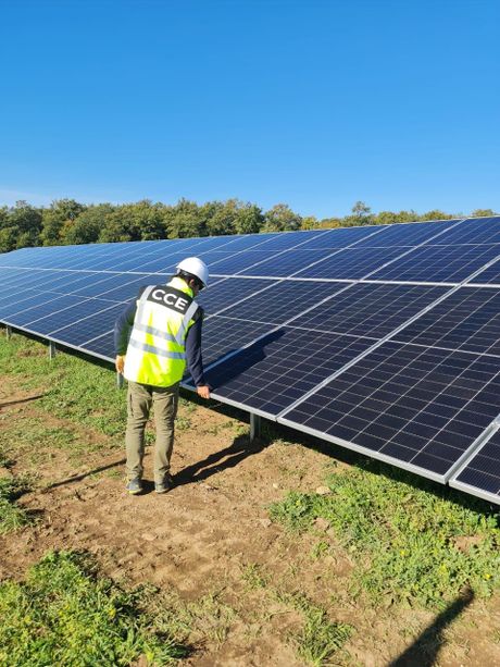 cce ardea_project manager_besmir