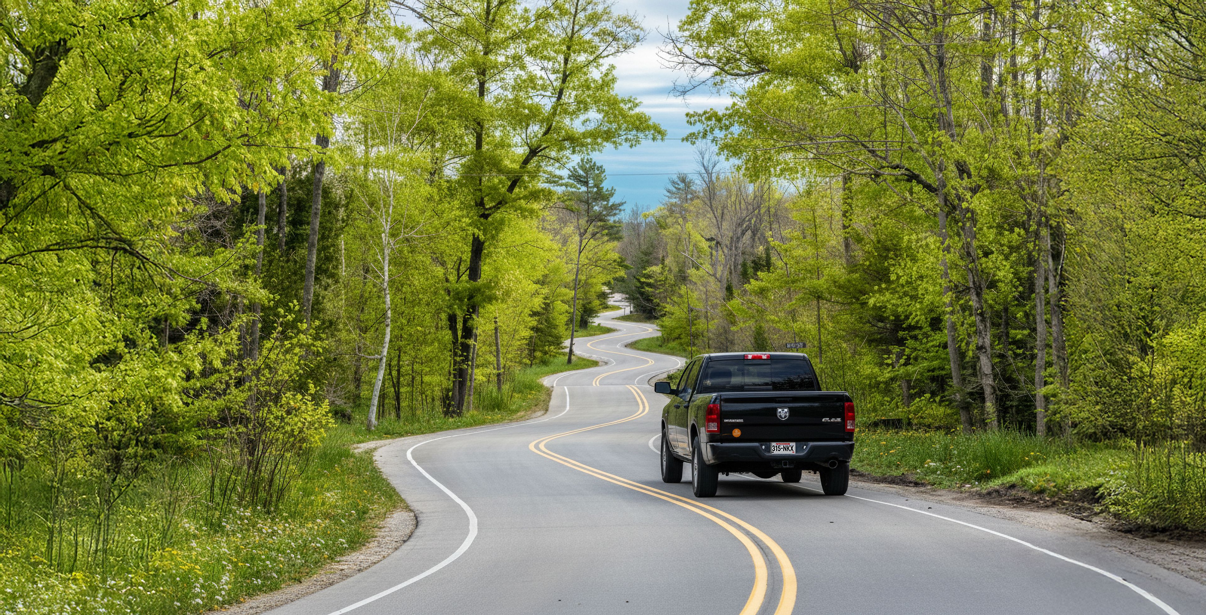 Oscar Car Rental Black pickup truck driving along a winding two-lane road through a lush green spring forest.