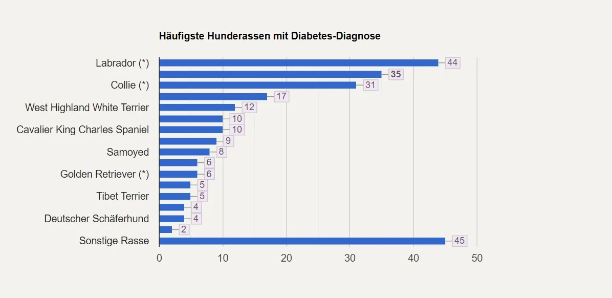 Balkendiagramm der Hunderassen mit Diabetesdiagnosen. Labrador (44), Collie (35) und Mischlinge (45) sind die am häufigsten diagnostizierten Rassen. Andere Rassen folgen.