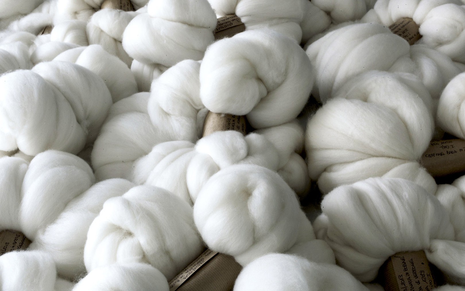 Vitale barberis wool