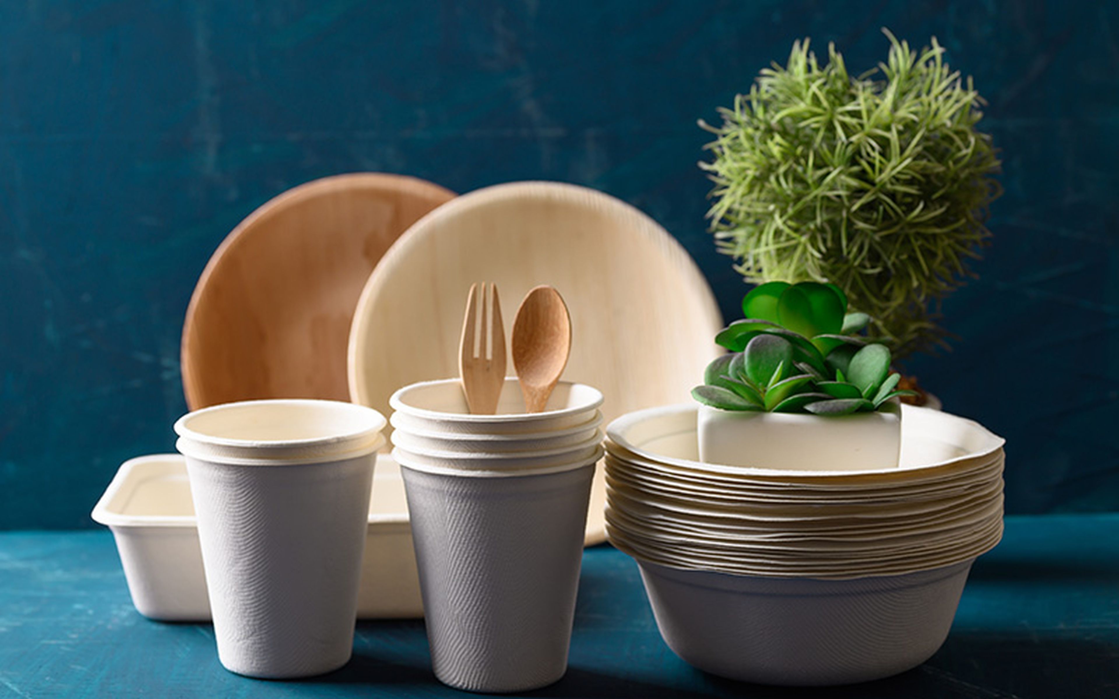 Single-use products made from sustainable materials are a common subject of green trademarks. However, due to their purely descriptive nature, terms such as "recyclable" and "biodegradable" would be difficult to apply to these goods.