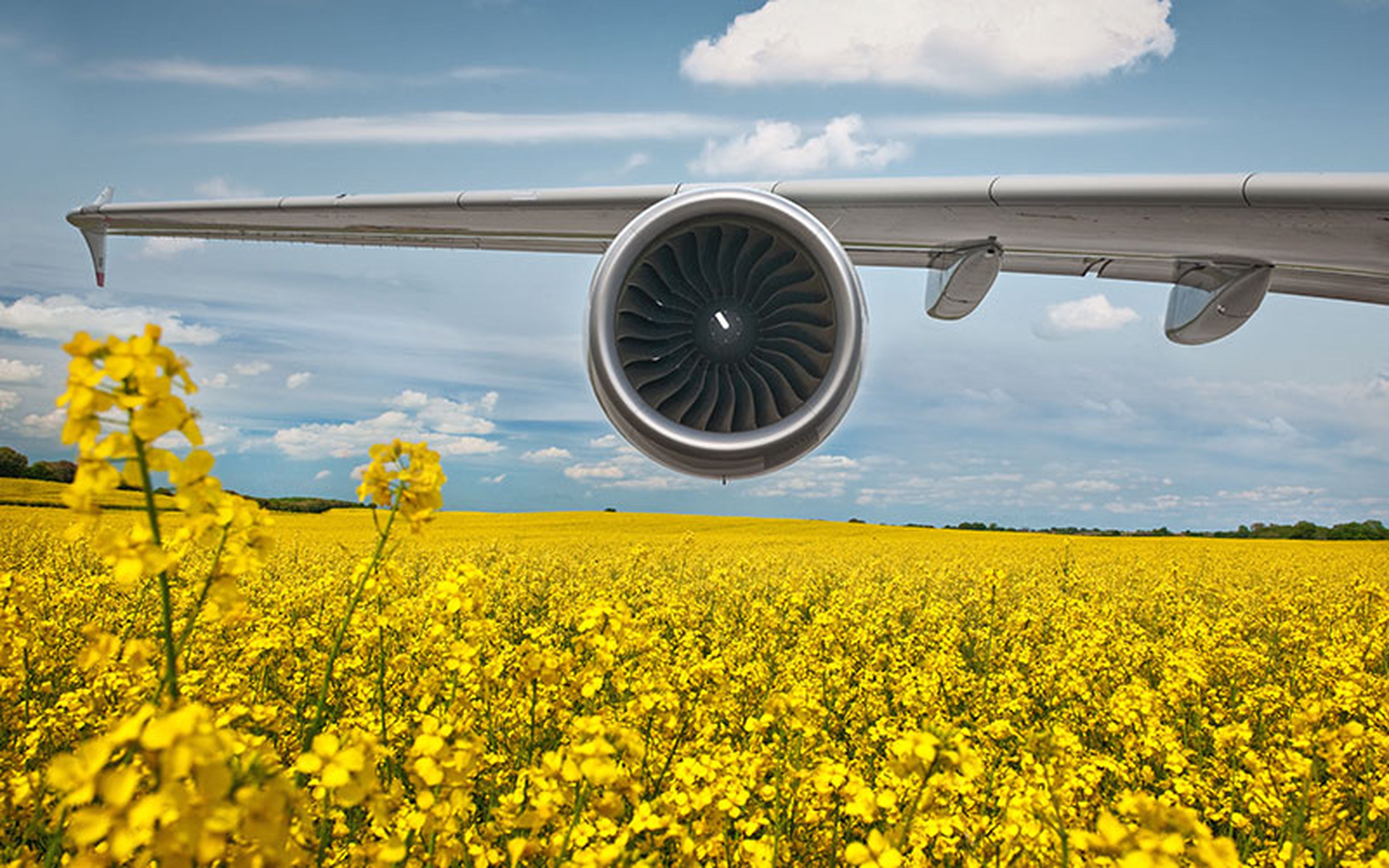 A variety of common crops, such as rapeseed, can be used to produce biofuel alternatives to kerosine. But before any new fuel can be used, it must be exhaustively tested under operating conditions on all materials it could come into contact with: metals, composites, sealants, gaskets, etc.