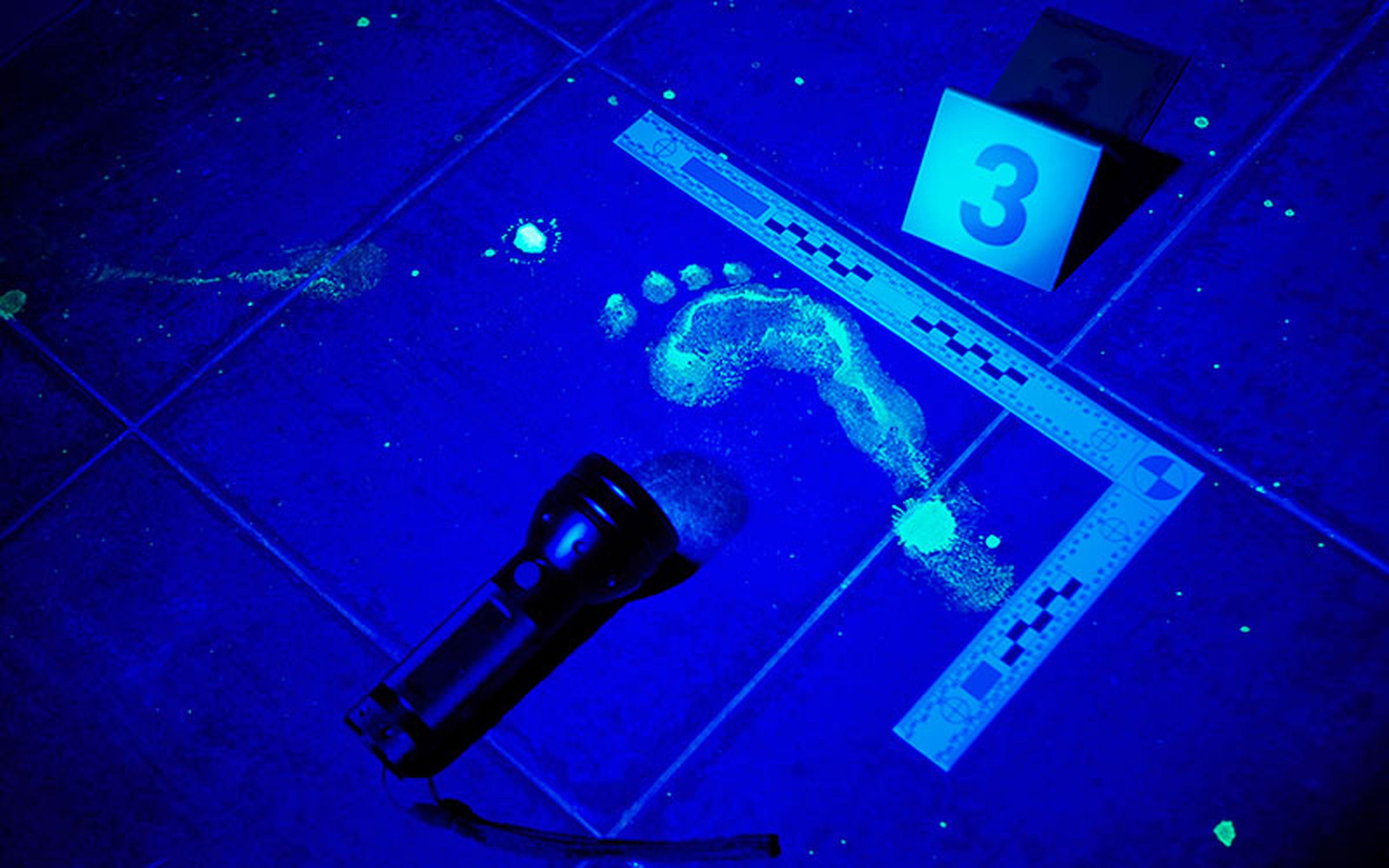 A positive luminol test will glow for about 30 seconds and can be repeated if needed. Thus by observing the speed of the reaction, an experienced criminologist will be able to distinguish a result triggered by blood from that involving another substance.