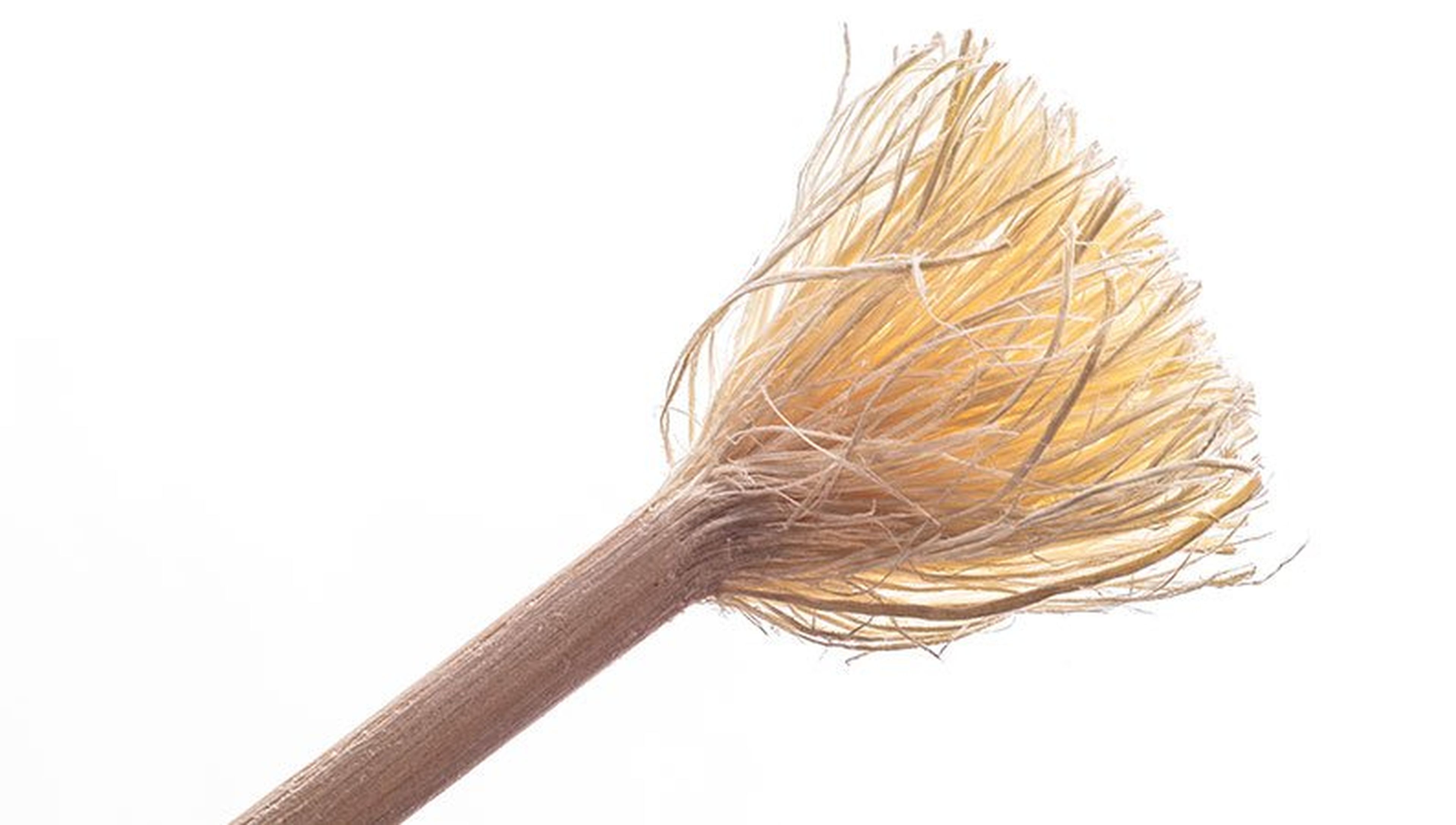 When-were-toothbrushes-invented05