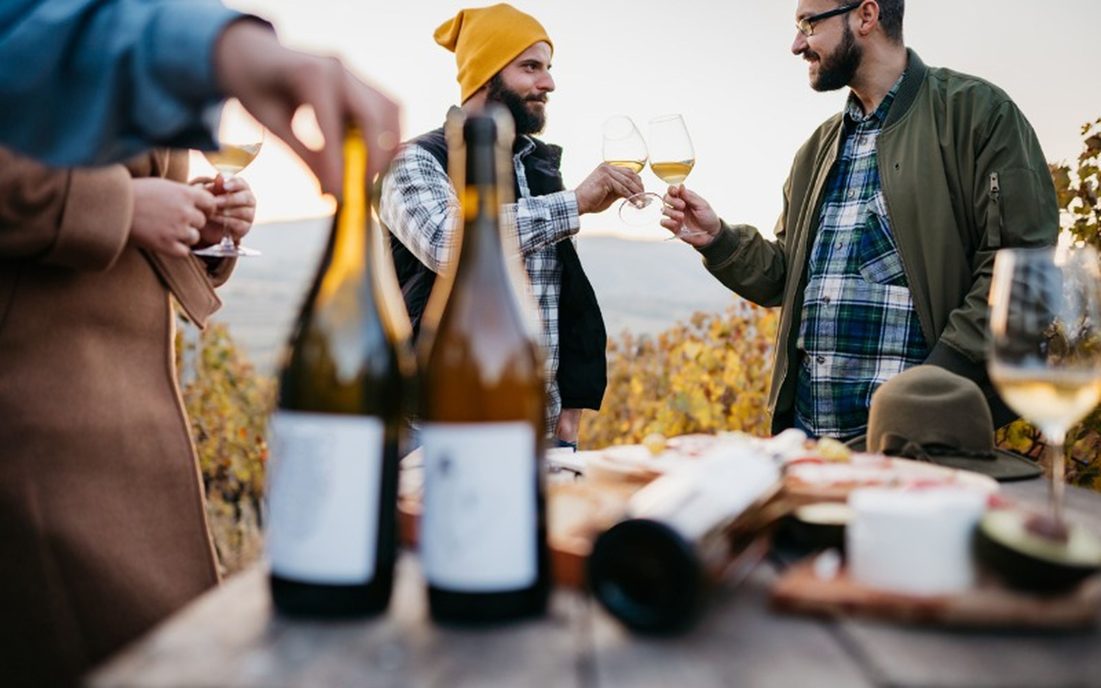 Wines are the archetypical goods protected by GIs. Their qualities, characteristics or reputation are essentially due to unique environmental and human factors in their places of origin: climate, soil conditions, traditional production methods and so on.