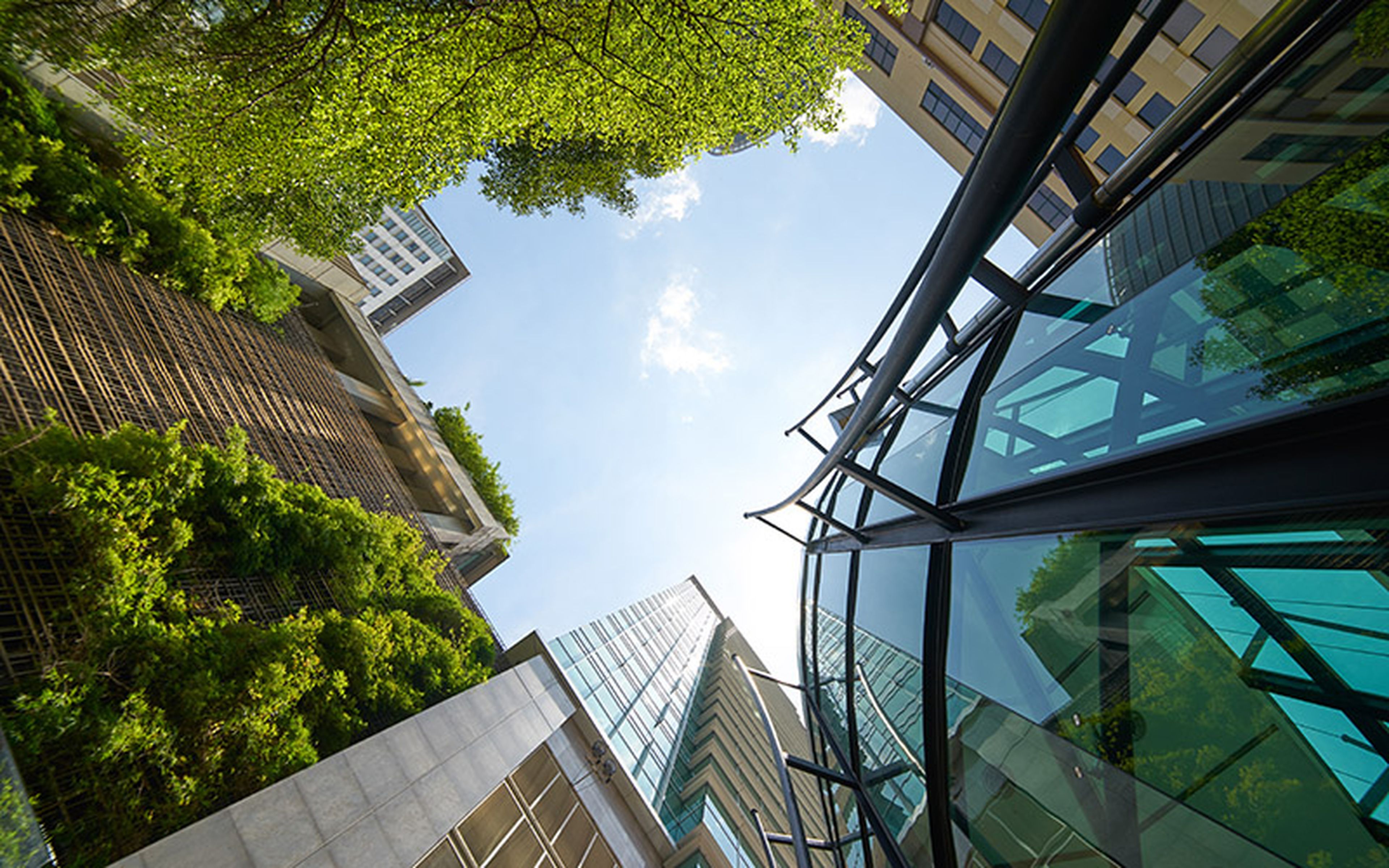 Switching to renewable energy in offices helps further reduce our everyday carbon footprint. Meanwhile, mindful travel options that produce less emissions let us stay in touch with clients and colleagues in an environmentally conscious way.