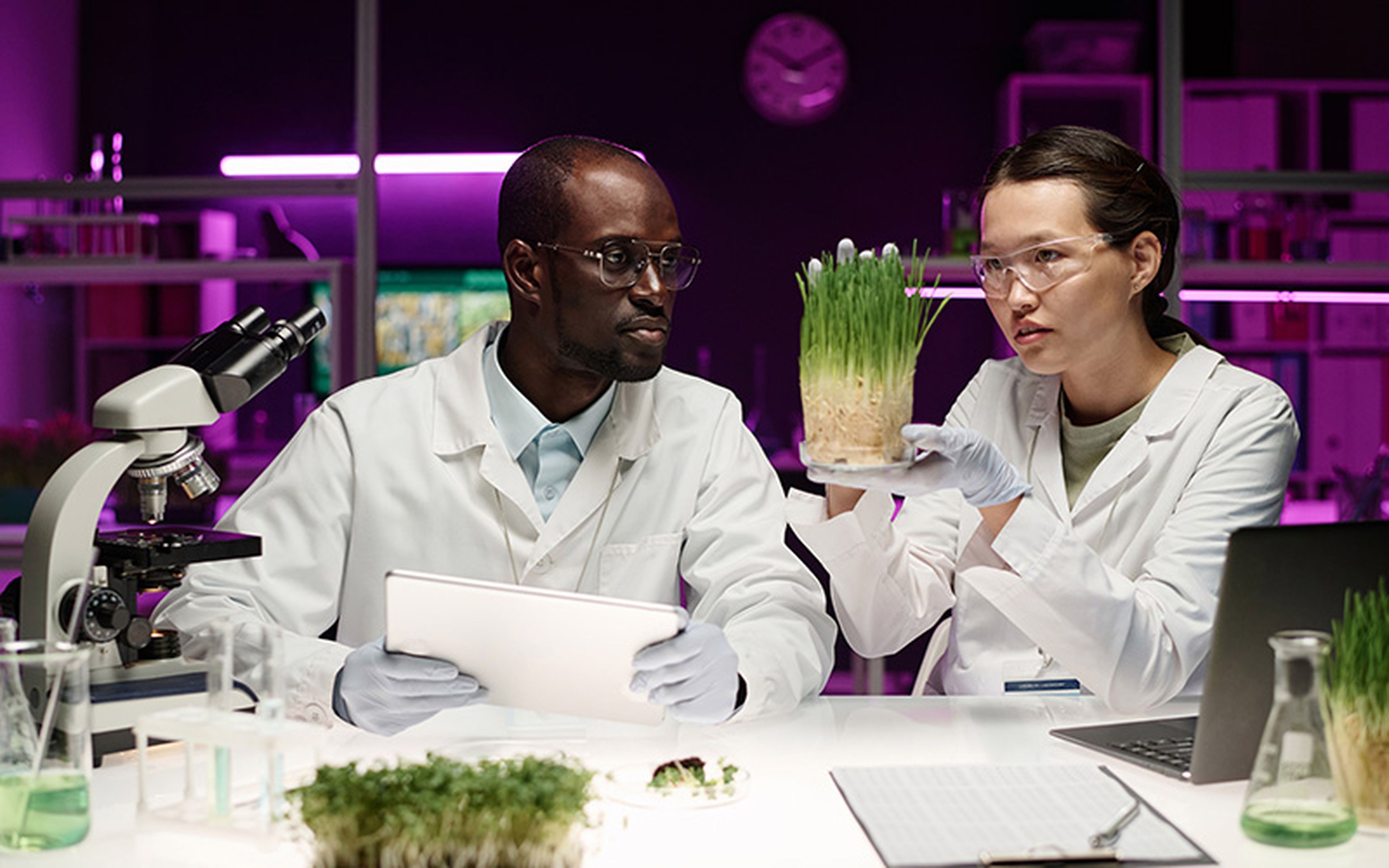 Some botanical research projects aim to boost plants' rate of removing and storing atmospheric carbon dioxide. For example, the "Harnessing Plants Initiative" from the Salk Institute seeks to increase the presence of the polymer suberin in plant roots to enhance this action.