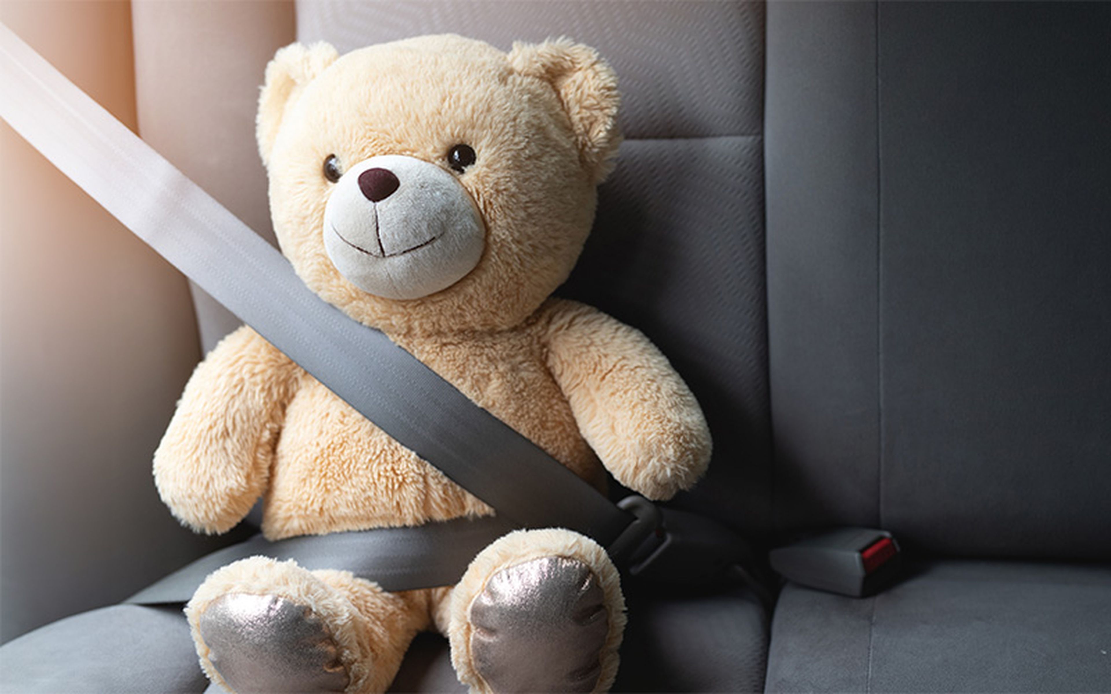 The simple act of buckling up with every car journey has saved countless lives worldwide, with U.S. national statistics recording almost 15,000 prevented deaths in a single year.