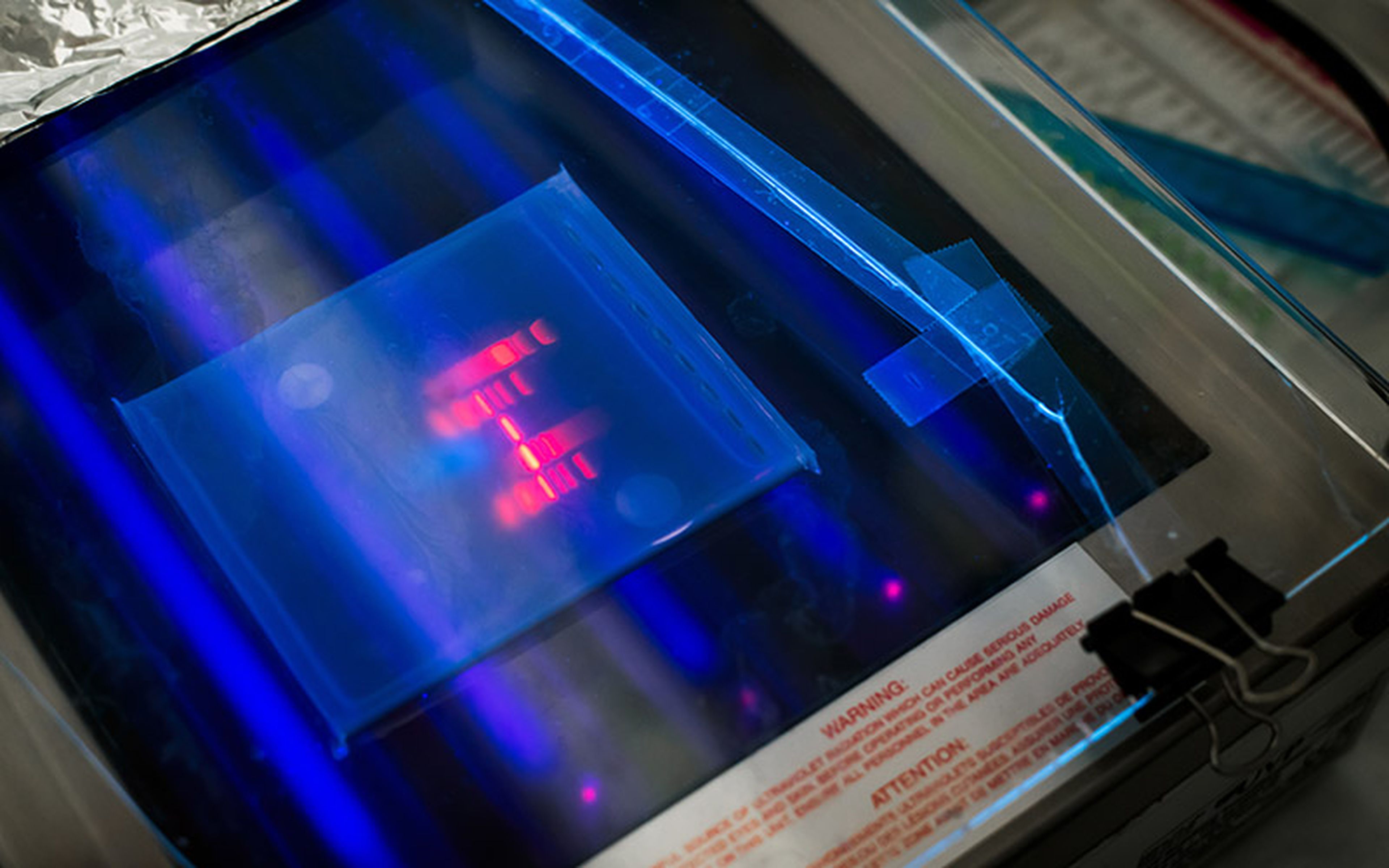 At 9:05 am on September 10, 1984, English researcher Alec Jeffreys had his "eureka" moment. Struggling with the complex genetic variables between close relatives, his first reaction was frustration. And then "the penny dropped," and he realized he had chanced upon genetic fingerprinting.