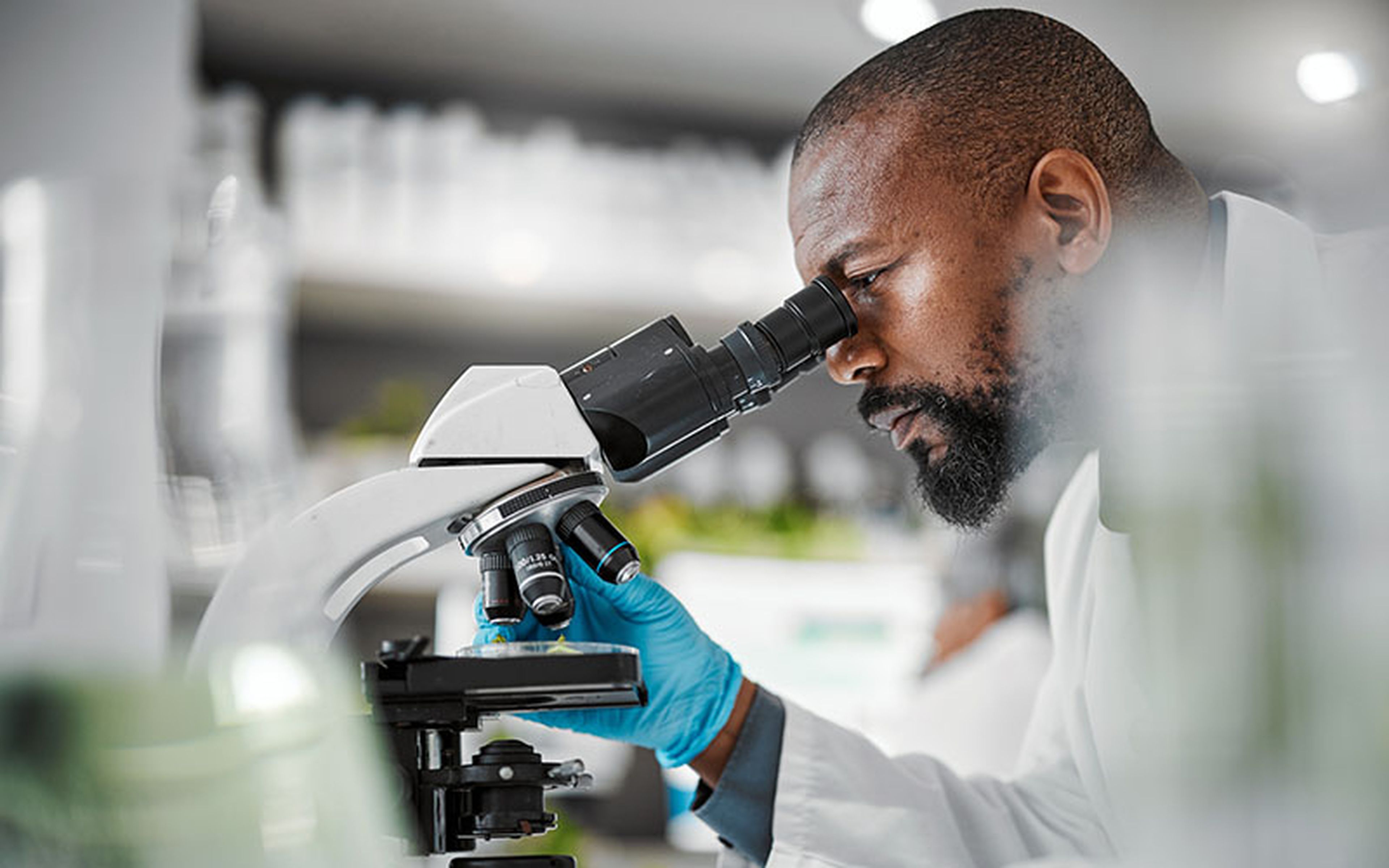 Arguably, the foremost purpose of the patent system, that which does not expire, is the dissemination of knowledge. Research into indigenous medicines can help spread their benefits from a very small area to the wider world. However, there is no reason for this to come at a cost to the local people.