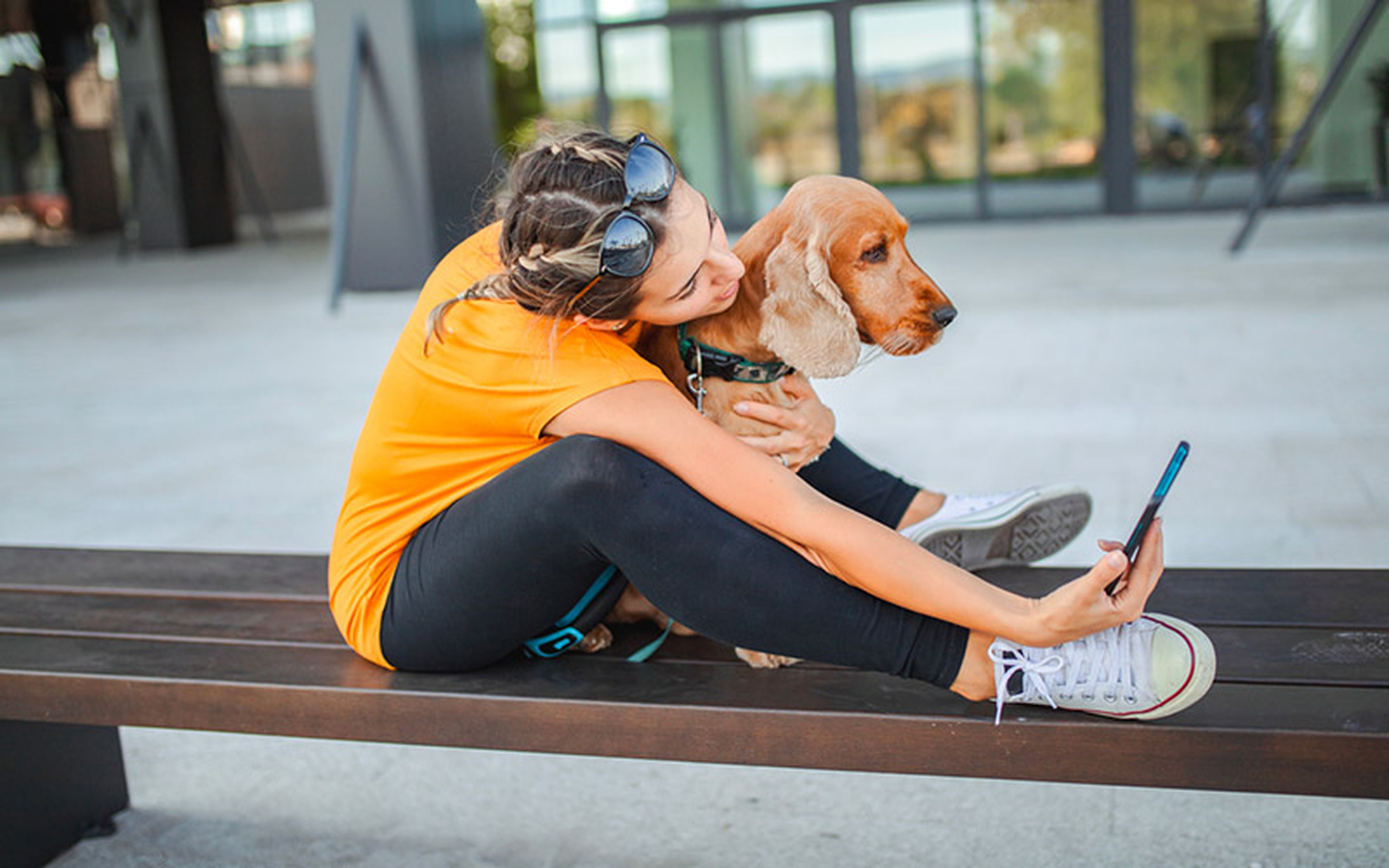 Smartphone apps allow pet owners to stay on top of vaccinations and medications, connect with veterinarians and manage their animal's health records. Even GPS trackers have become a part of everyday life for many.