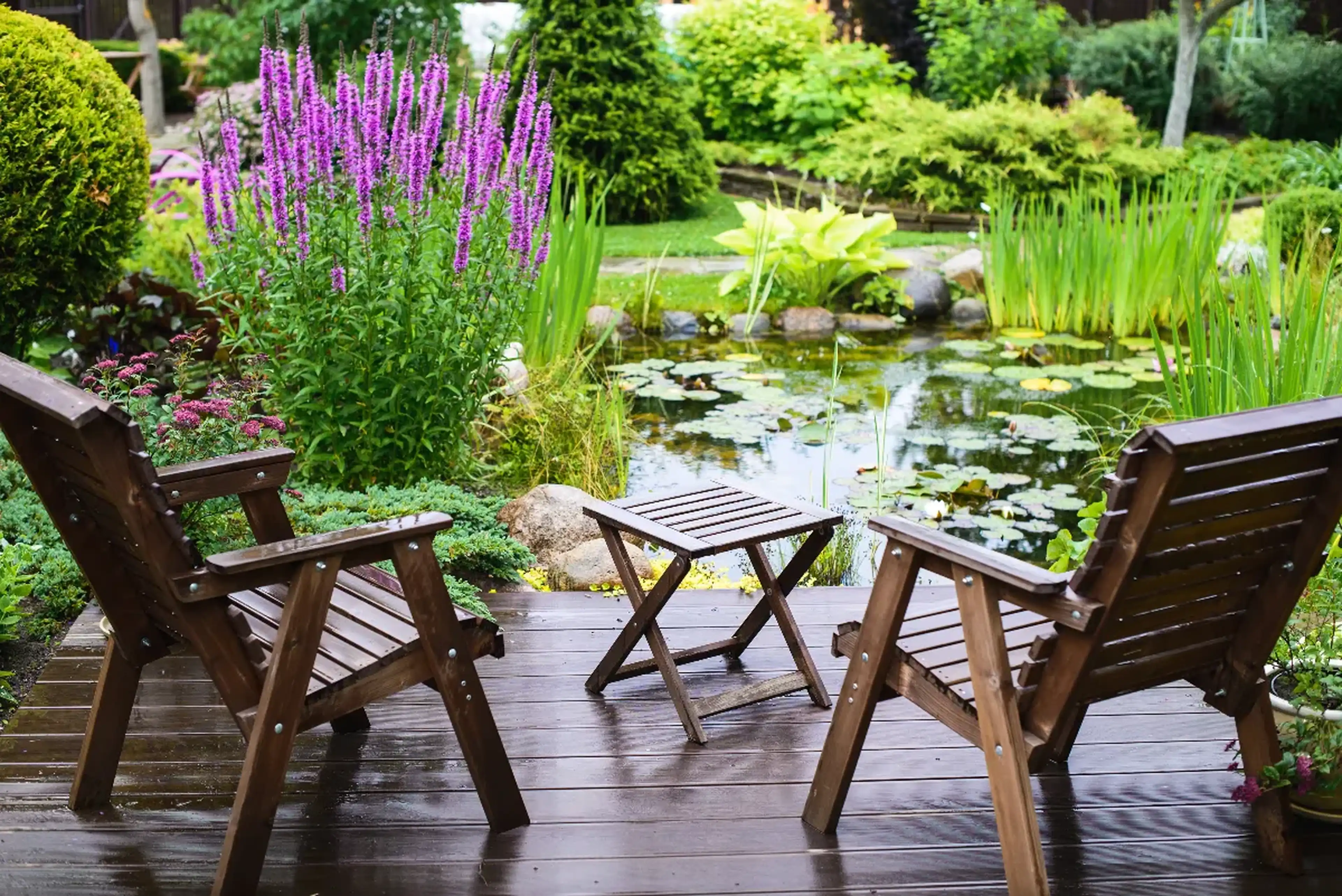 Einen Gartenteich anlegen – Die Oase zu Hause