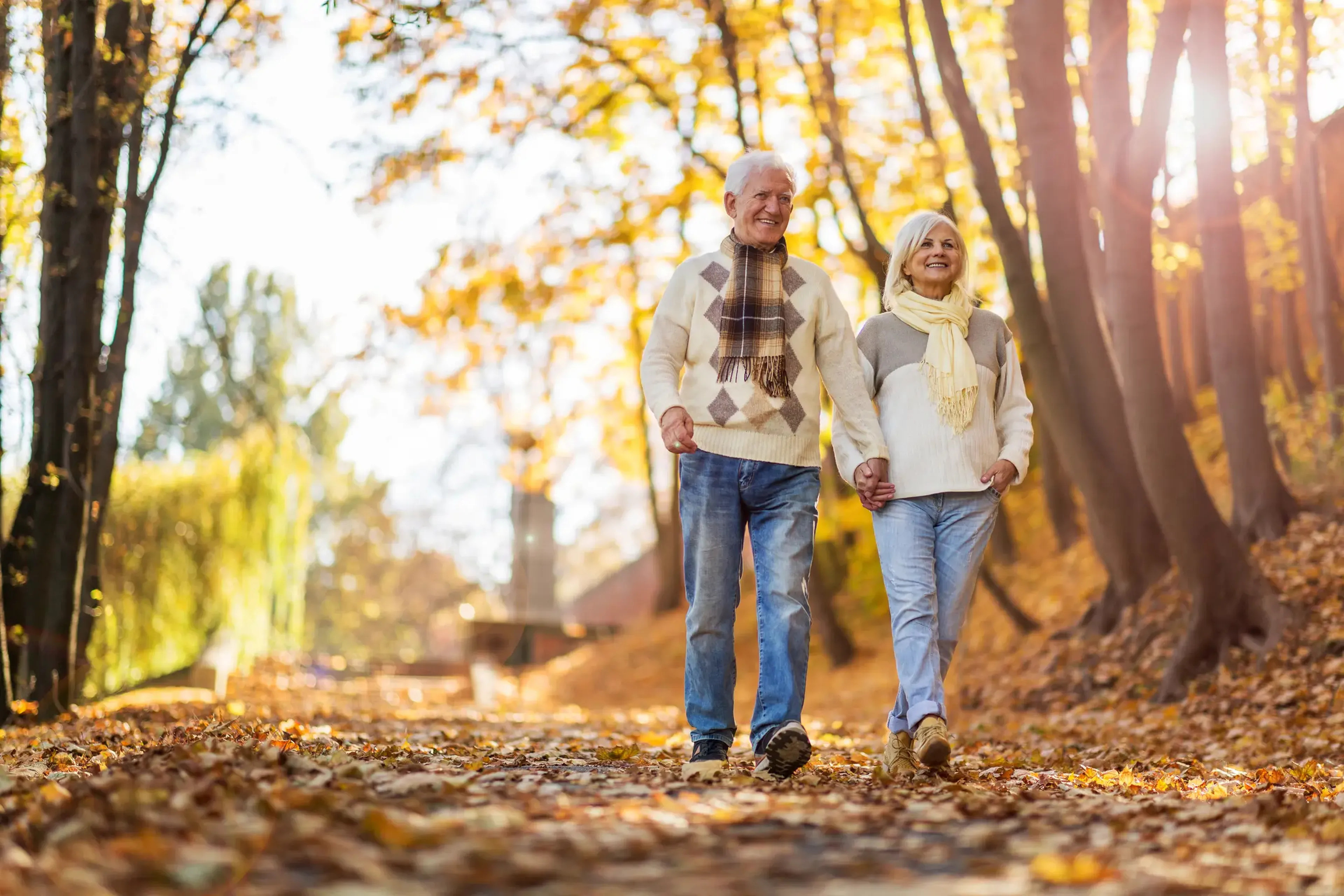 Elderly couple walking hand in hand through a sunlit, leafy park in autumn, wearing cozy sweaters and scarves, surrounded by fall foliage.