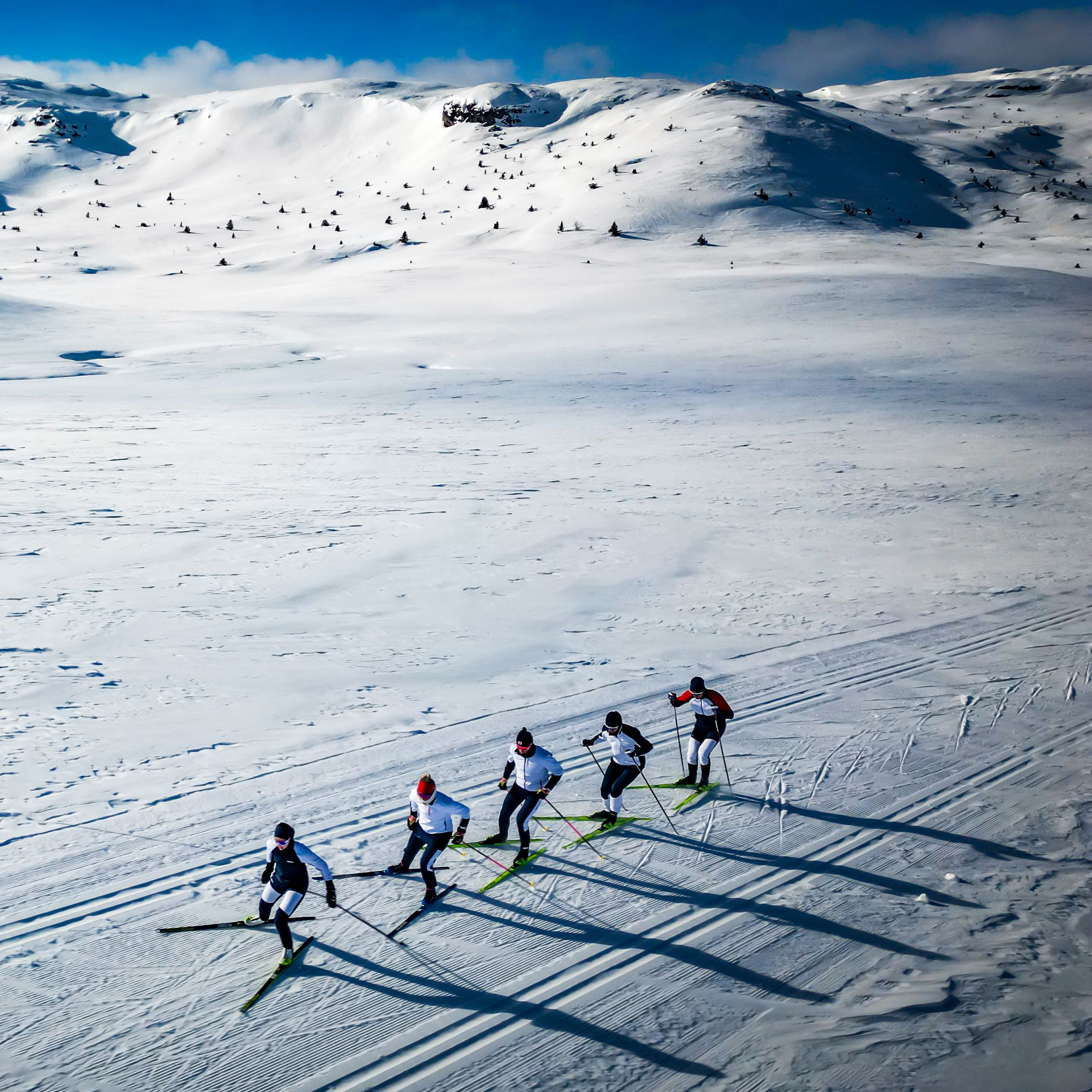 Fem langrennsløpere på ski med fjell i bakgrunnen