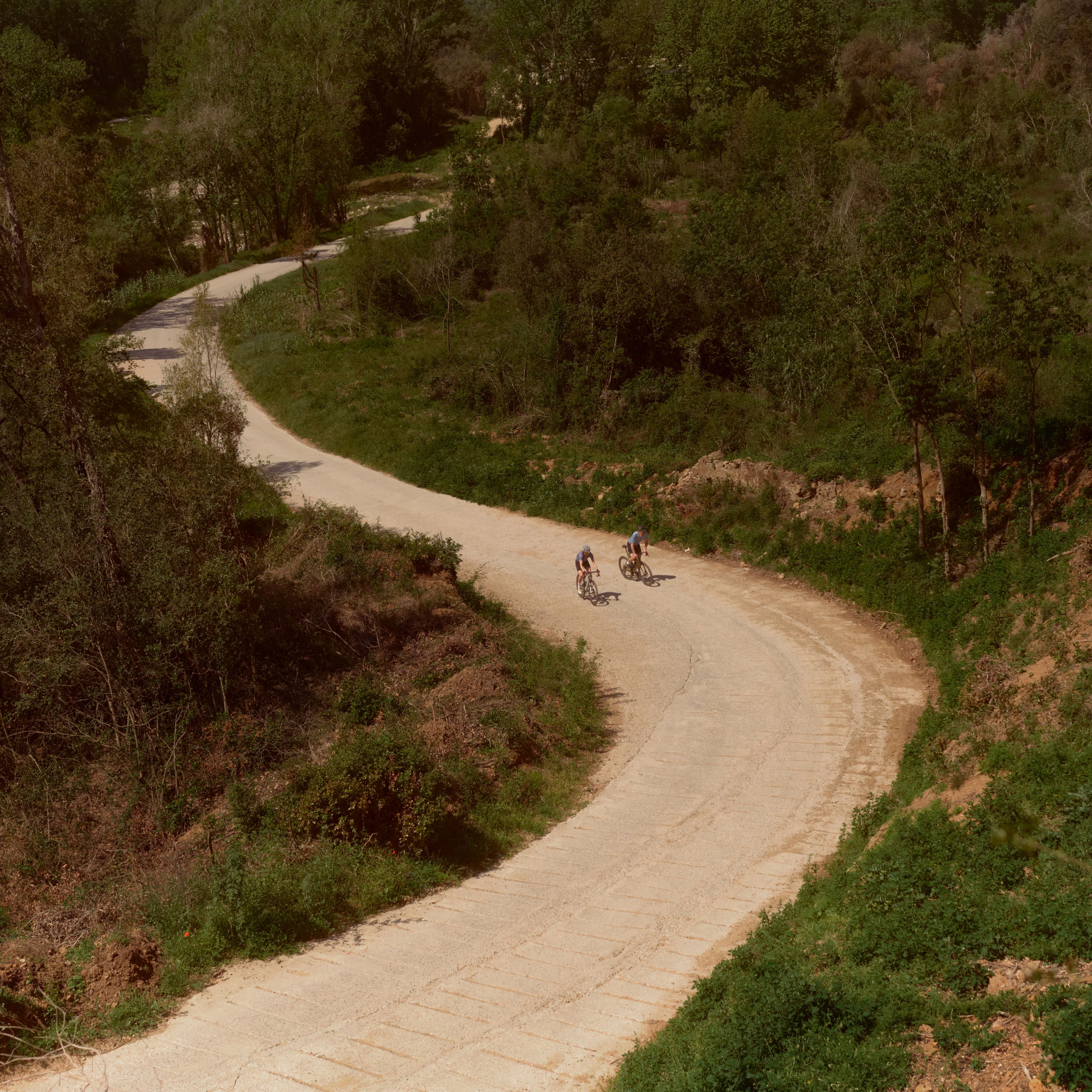 Syklister sykler langs en svingete vei gjennom et frodig, grønt skogsområde på en solrik dag.