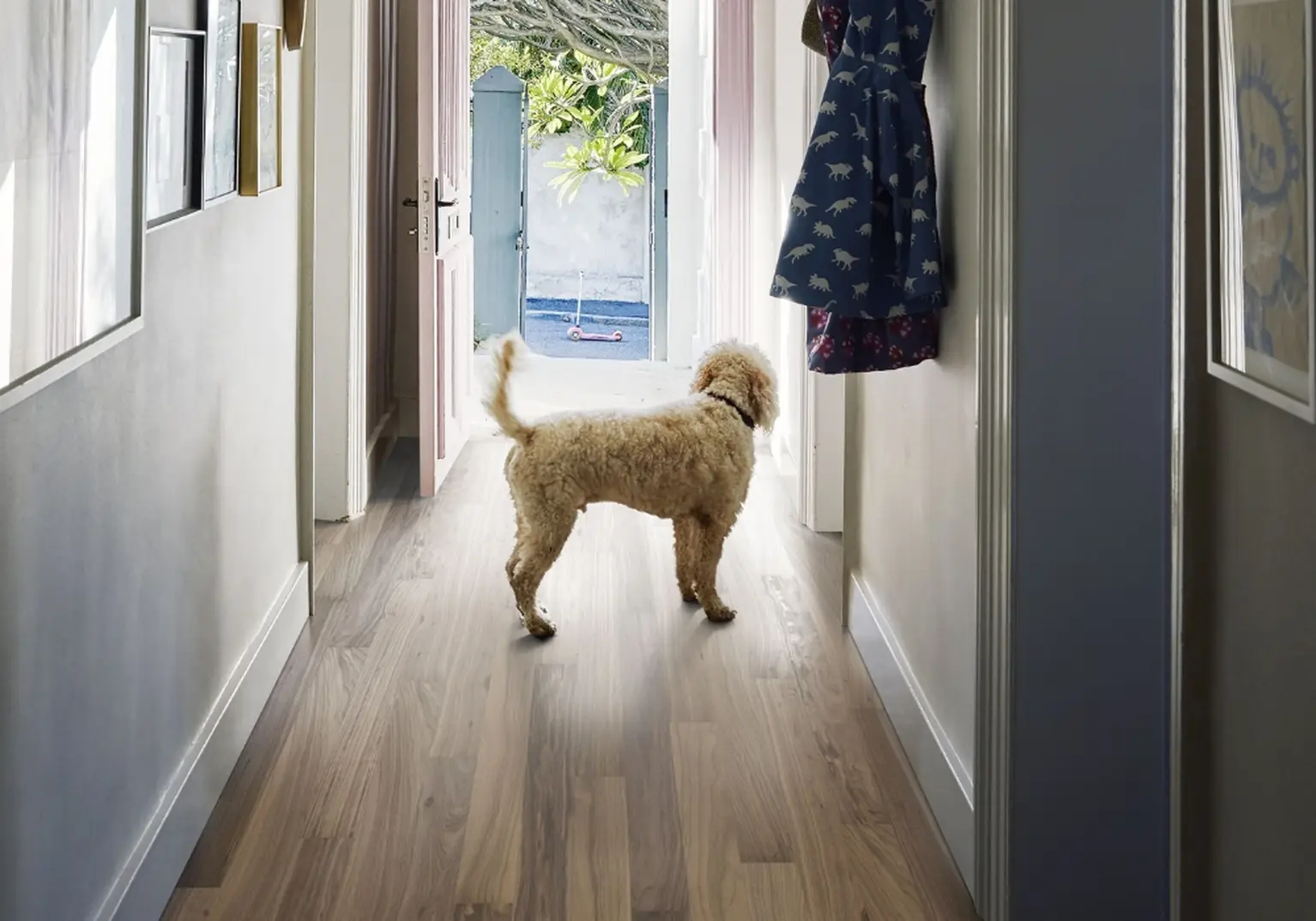 A cozy hallway featuring light wood flooring, with a dog standing near an open door leading to a bright outdoor area.