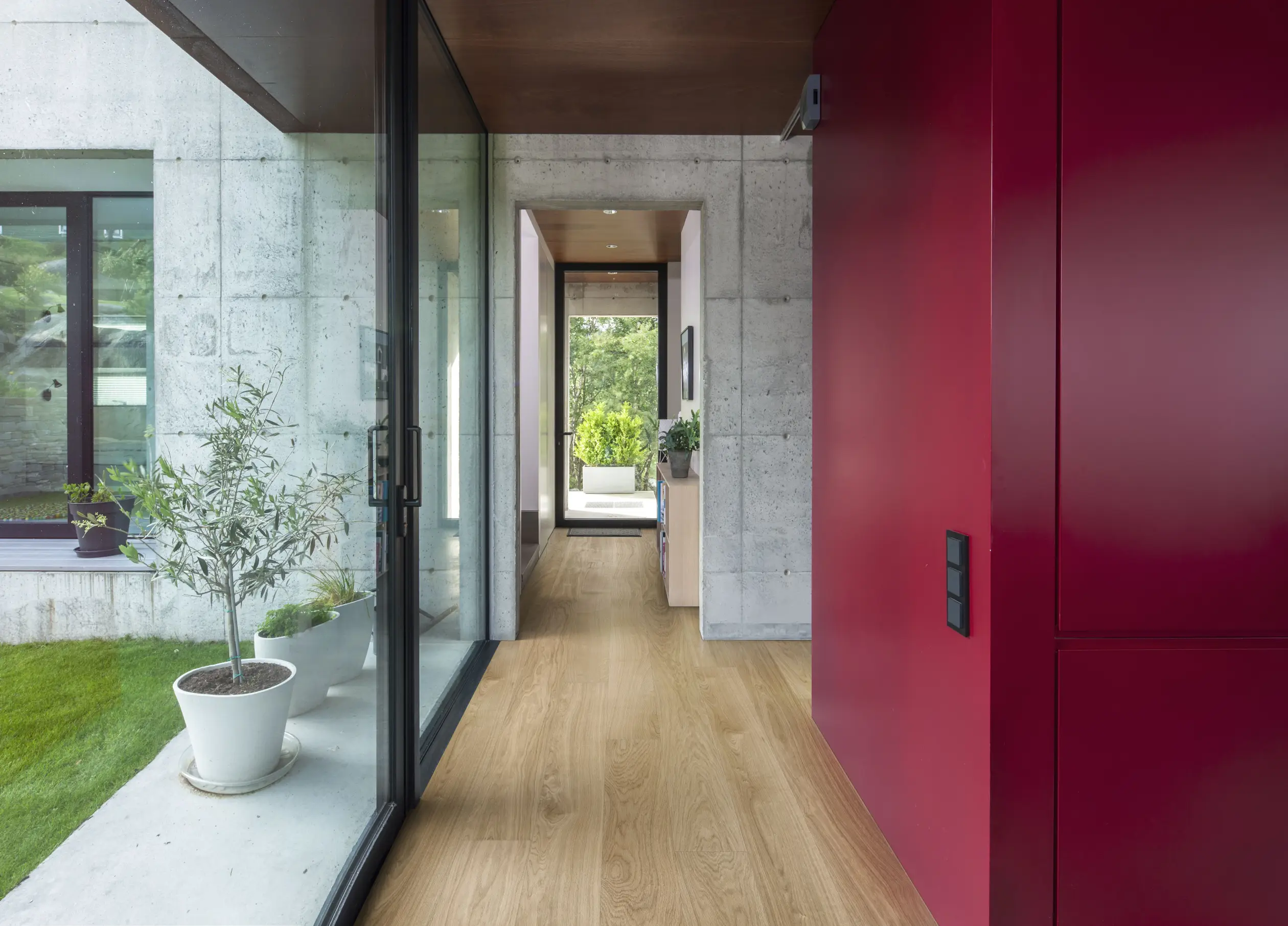 Oak Dublin. A sleek hallway with light oak flooring, a bold red accent wall, and large glass windows overlooking greenery.