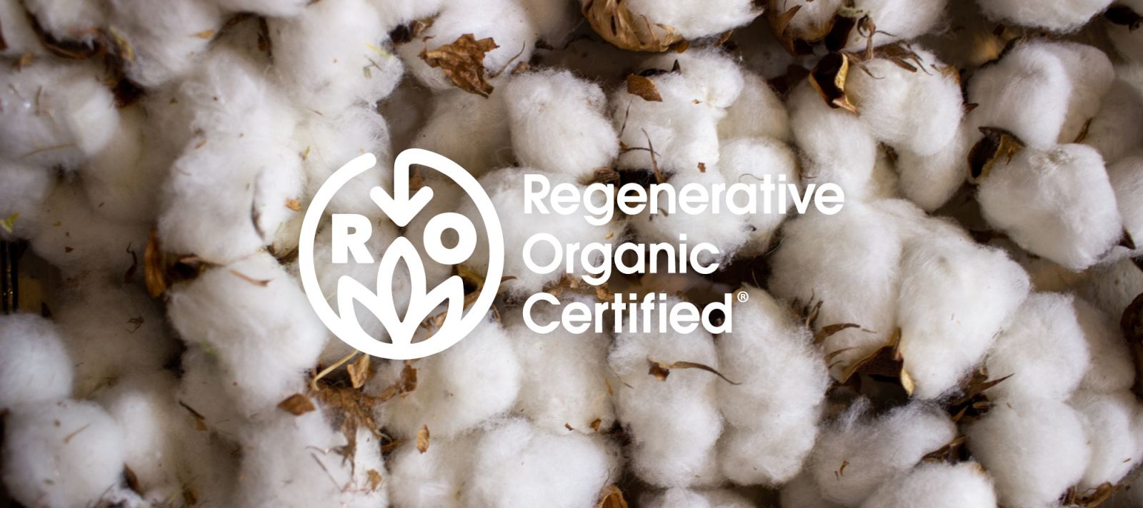 cotton balls with ROC logo in white