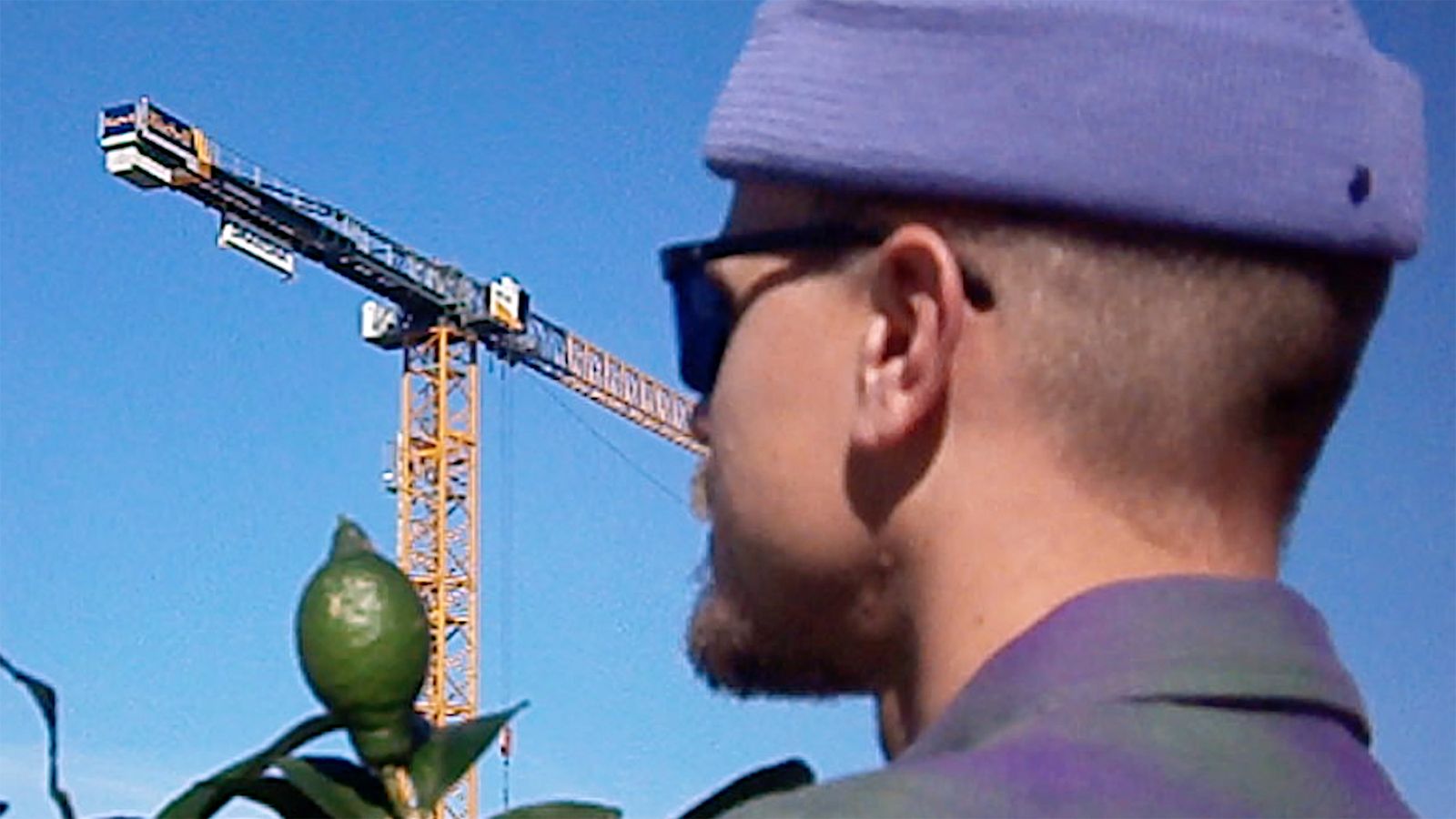 A person in a purple hat and sunglasses looks at a green fruit, with a construction crane in the background against a blue sky.