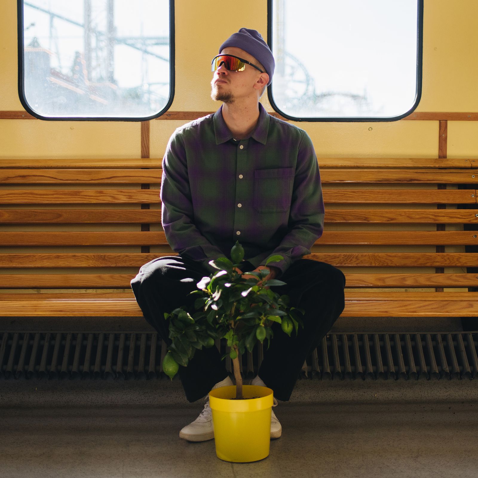 Man in a purple shirt and beanie sits on a bench holding a potted plant, with sunlight streaming through the window behind him.