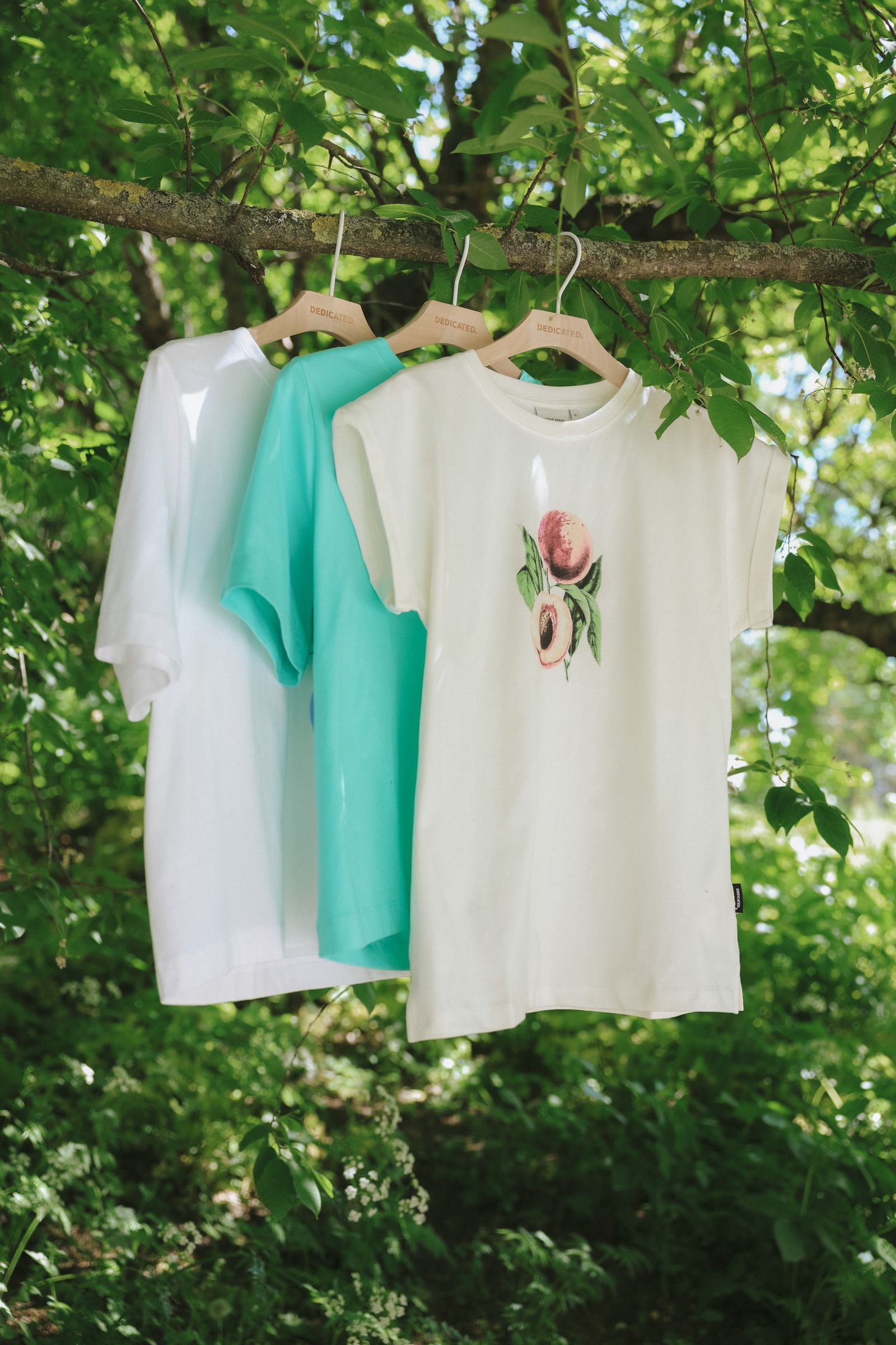 Three shirts hang on a branch: white, teal, and white with peach design, surrounded by green leaves.