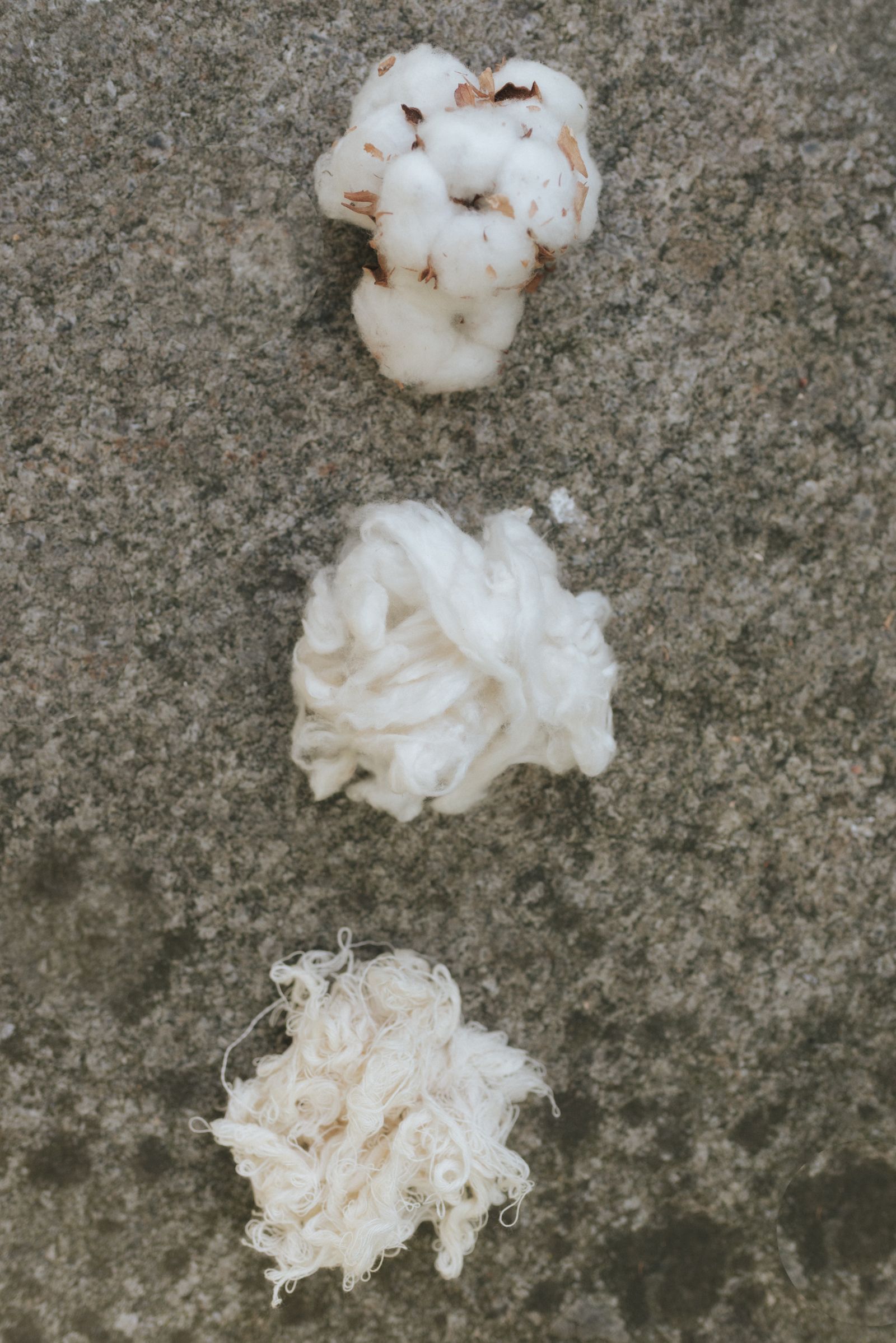 3 steps cotton from flower to yarn