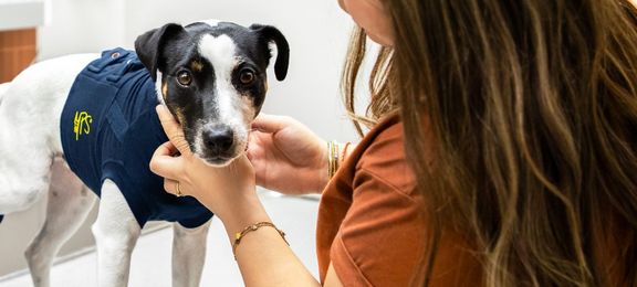 Sign your pet up to be a MPS model