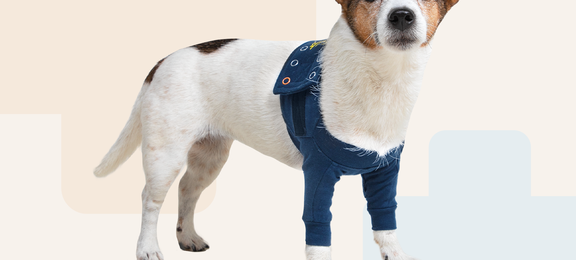 Protective Front Leg Double Sleeve Dog
