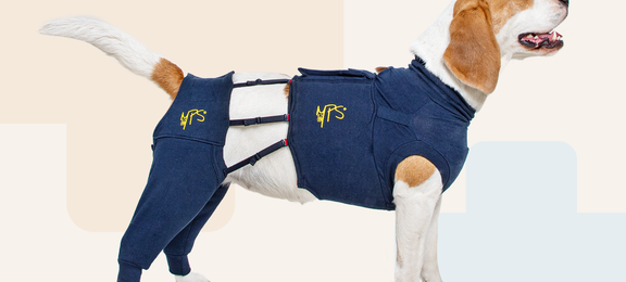 Protective Hind Leg Sleeves Dog
