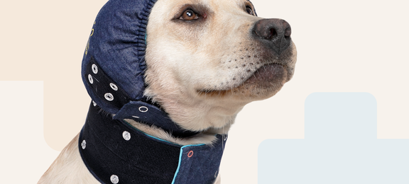 Protective Head Cover Dog