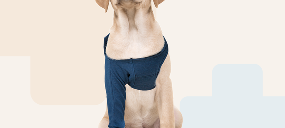 Protective Front Leg Single Sleeve Cat