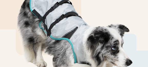 DRY® Cooling Vest Dog