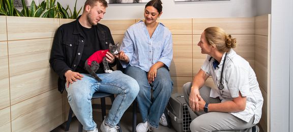 Ergebnisse der Umfrage unter Haustierbesitzern – MPS® Shirt