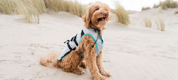 Does the DRY® Cooling vest really work?