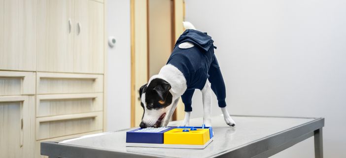 Mentale Herausforderung während der Genesung