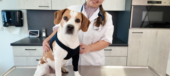 Positive emotions during recovery