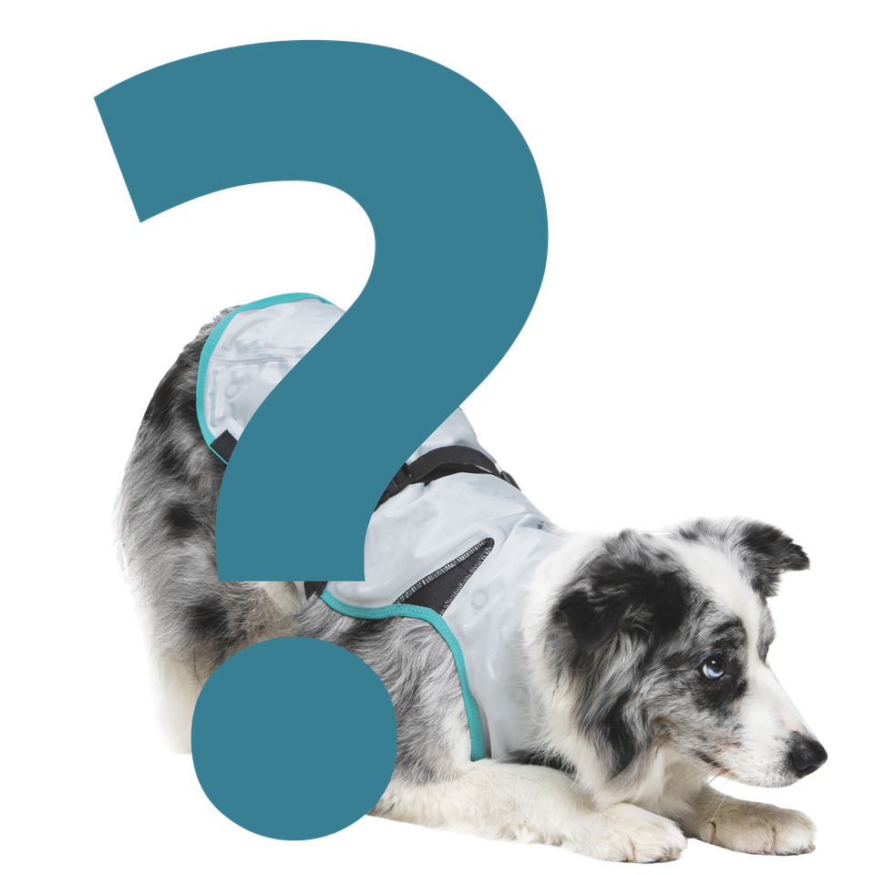 Medical Pet Shirts Protective Recovery Wear for Pets DRY