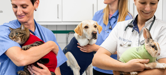 MPS 2.0: The best care for pets!