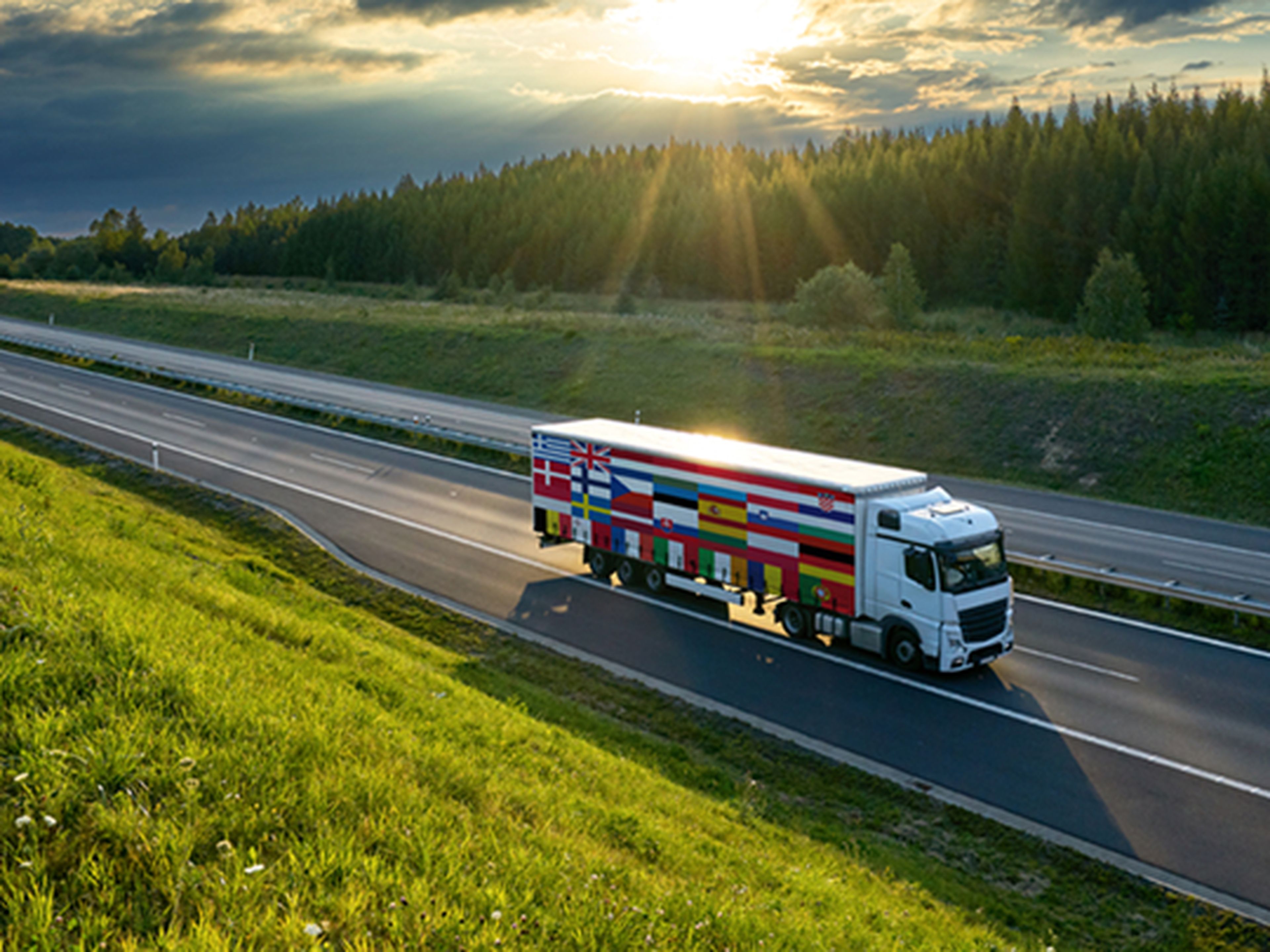 Vrachtwagen met Europese vlaggen op de zijkant rijdt over een lege snelweg omringd door groen gras en een bosrand, met zonnestralen die door de wolken breken.