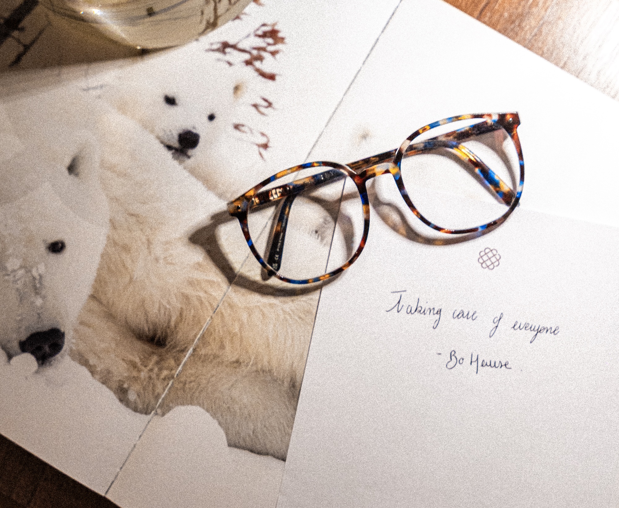 Tortoise shell glasses on a polar bear photo with a handwritten note saying, 
