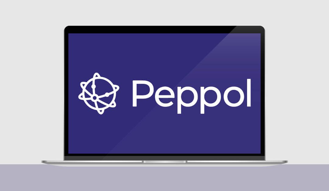 https://a.storyblok.com/f/318078/1032x601/8c7695ea9a/644268812e557362732e02cf_blog-what_is_peppol_website.jpg
