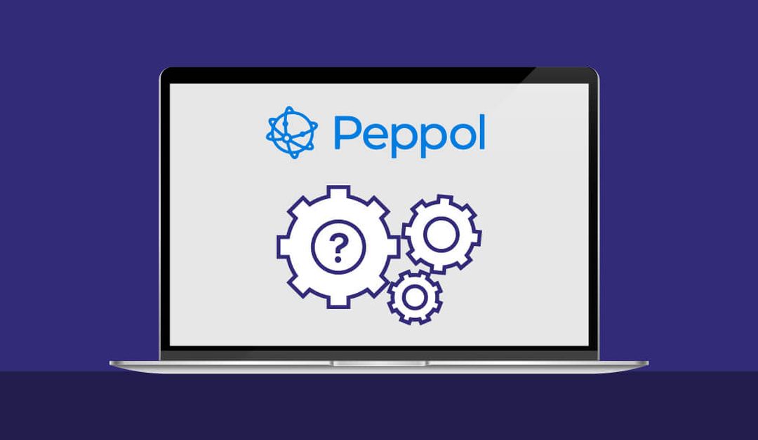 https://a.storyblok.com/f/318078/1033x601/bdd3a1a4ca/64413805b1d03330ee0537ef_blog-how_does_peppol_work_website.jpg