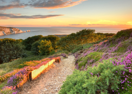 Careers at Van Mossel Esplanade Isle of Wight