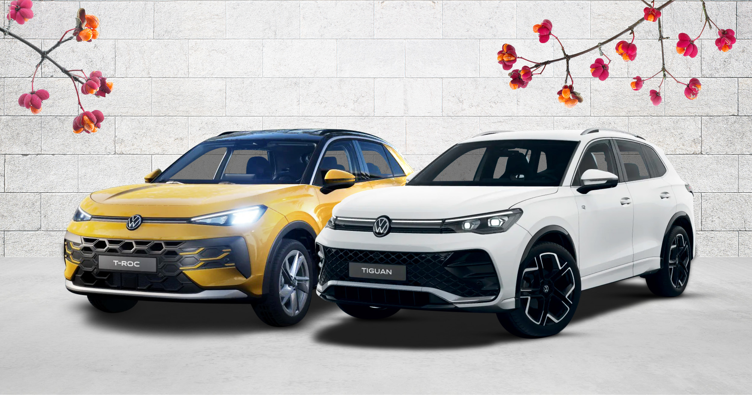 Erstaunlich Vw Aktion 2023 Fotos