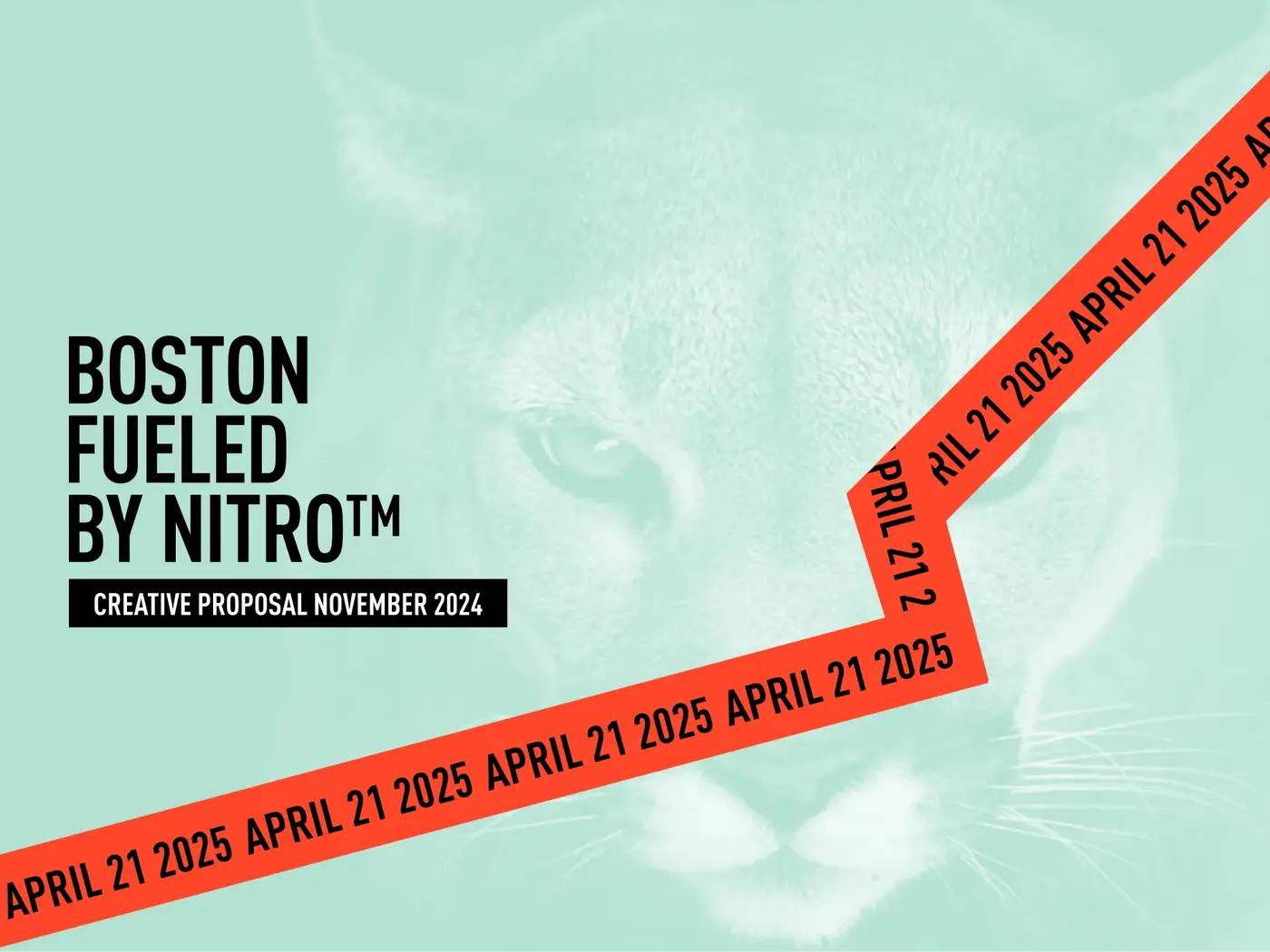 Puma Run Summit Boston