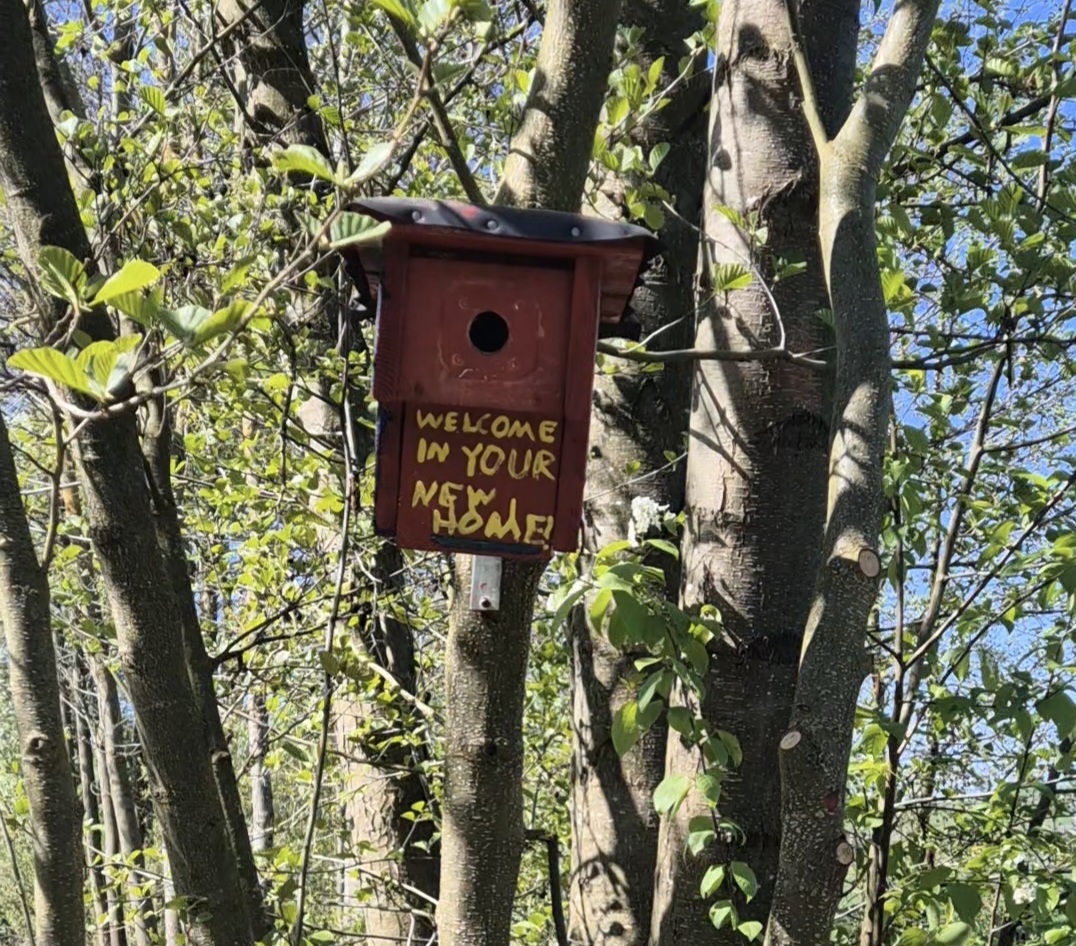Ein rotes Vogelhäuschen mit der Aufschrift „Willkommen in deinem neuen Zuhause!“ hängt an einem Baum, umgeben von grünem Laub in einem sonnigen Wald.