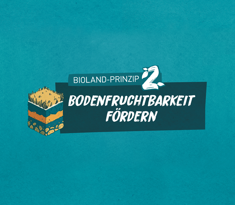 Fruchtbare Bden | Bioland e.V.